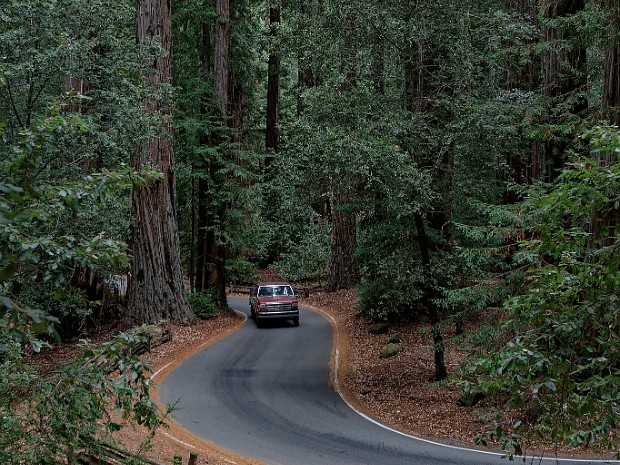 Big Basin Redwoods Park