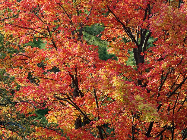 Québec
